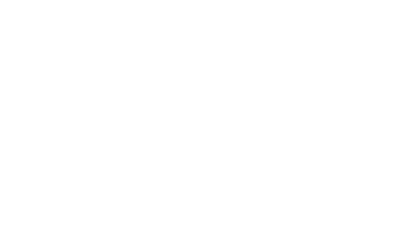 DIP-View